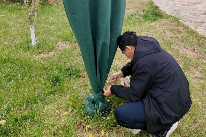 九原区边检园林工程