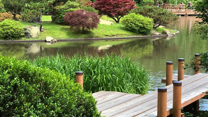 河道