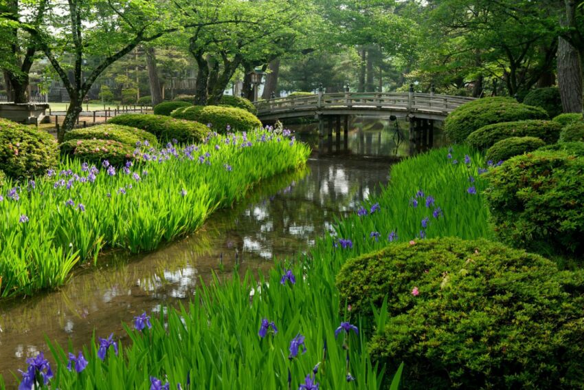 河道两旁绿化
